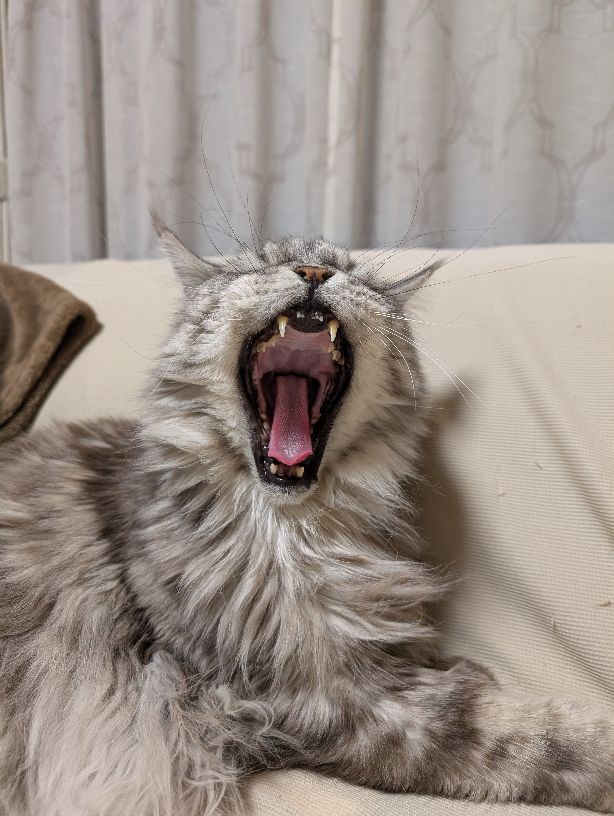 �̹���