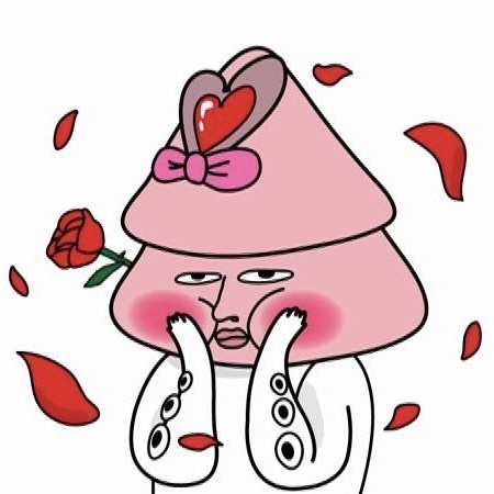 ̹