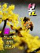 ̹